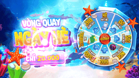 VÒNG QUAY NGÀY HÈ